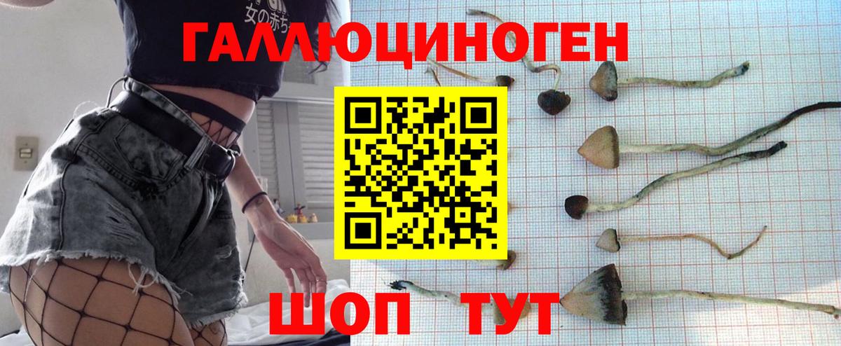 Галлюциногенные грибы Psilocybine cubensis Нягань