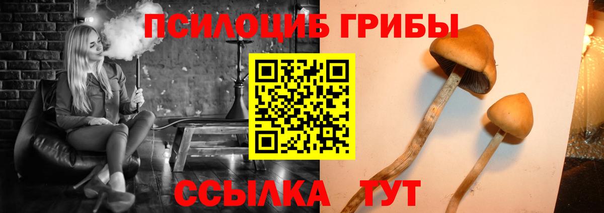 Псилоцибиновые грибы мицелий  купить наркотики сайты  Нягань  Вход с VPN 